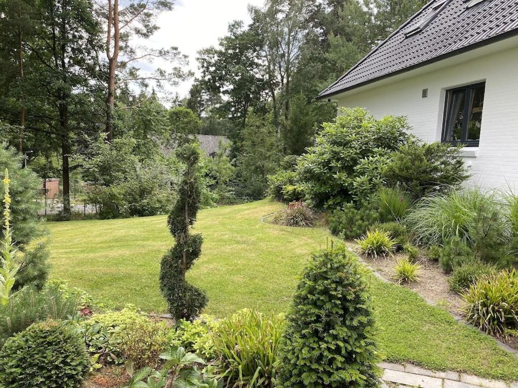 Ferienhaus Bendestorf, Waldweg 38,Naehe Hamburg Kültér fotó
